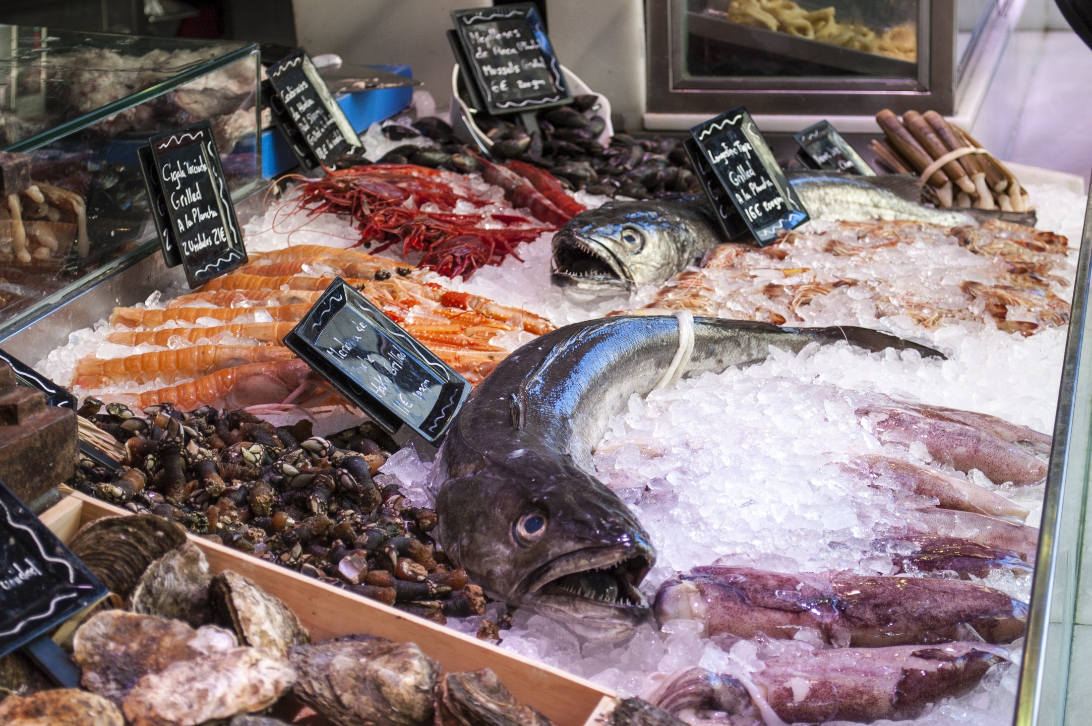 El mercado de pescado fresco se derrumba en Europa por el coronavirus