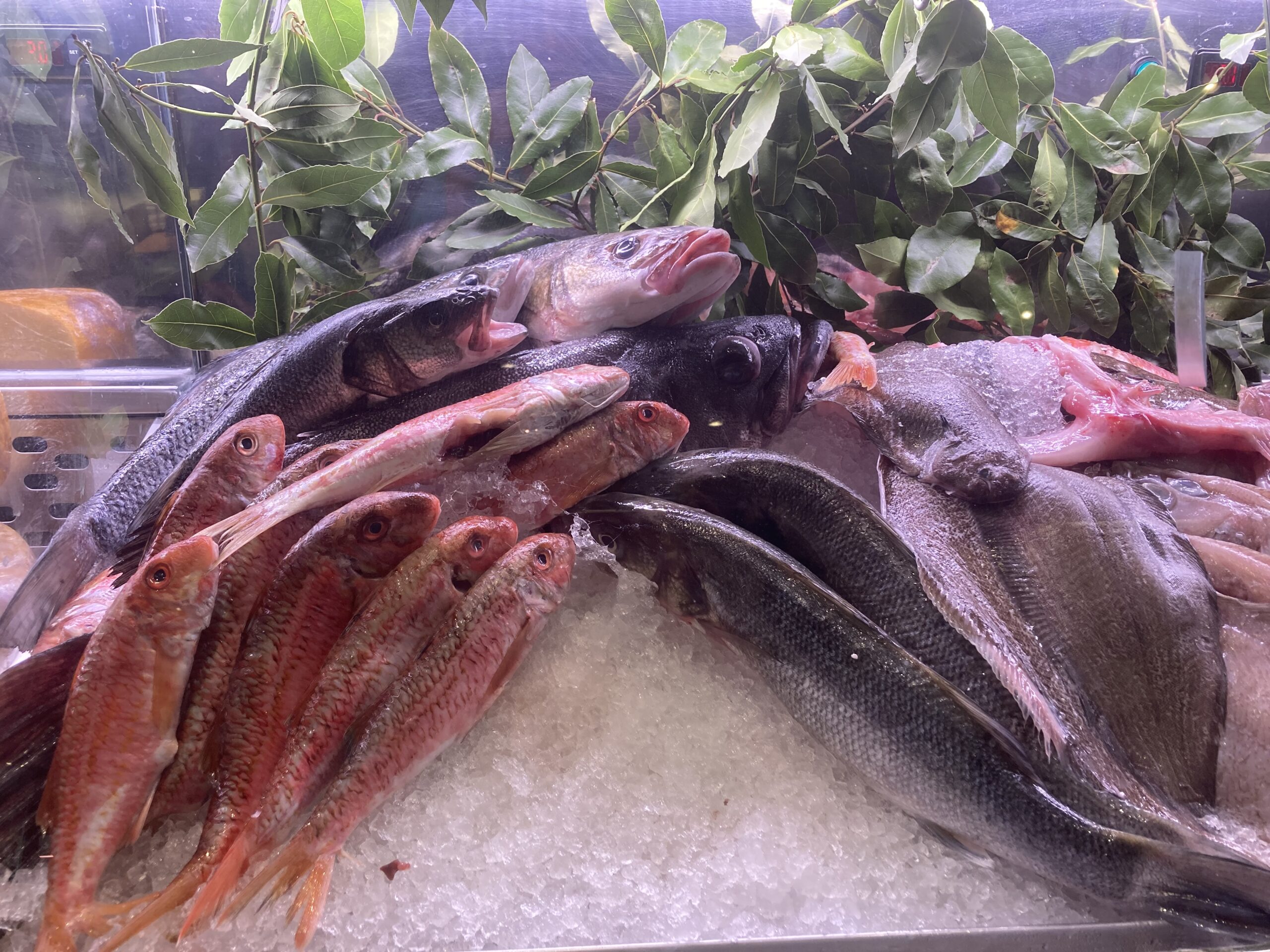 Digital Press: ¿El pescado congelado es igual de nutritivo que el, pescado  congelado 